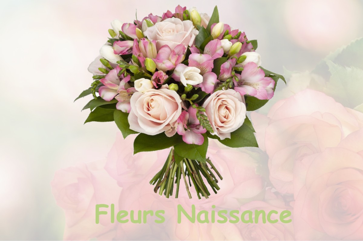 fleurs naissance BLANZY-LES-FISMES